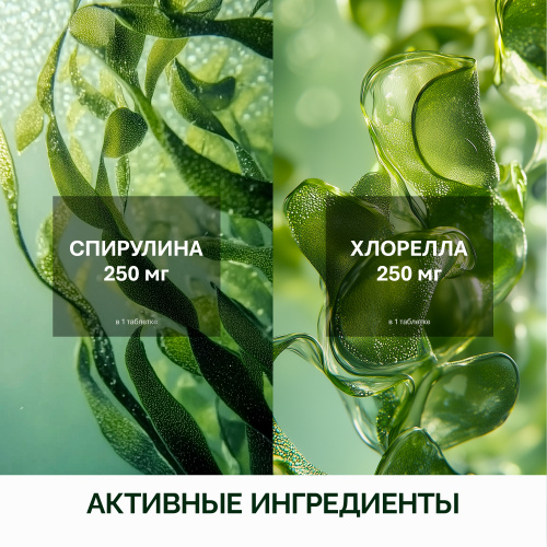 NFO® Спирулина Хлорелла