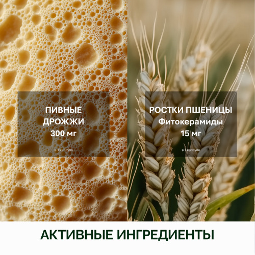 NFO® Амино Комплекс